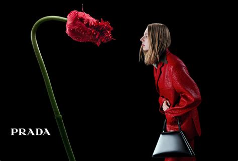 prada flower collection